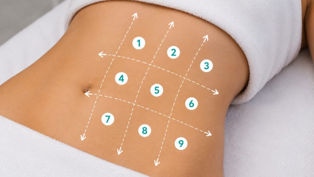 División de la zona abdominal y la cintura para aplicar radiofrecuencia correctamente.